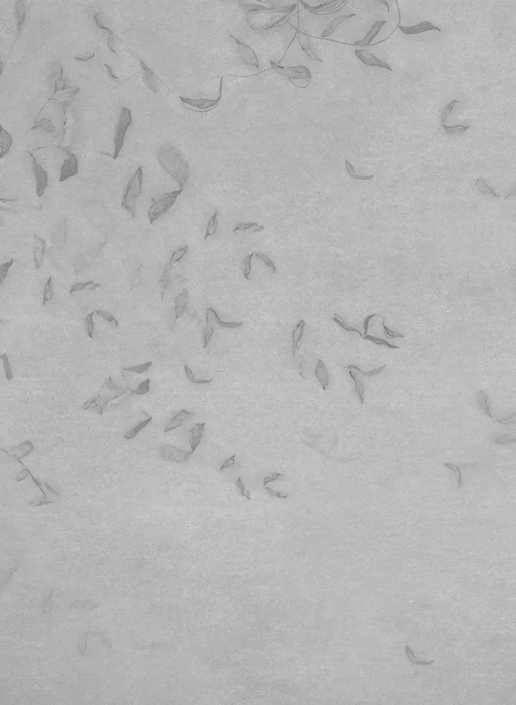 Coordonne Carta da parati panoramica Leaves Reflection - Grey