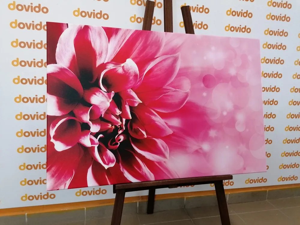 Stampa su tela – Fiore rosa