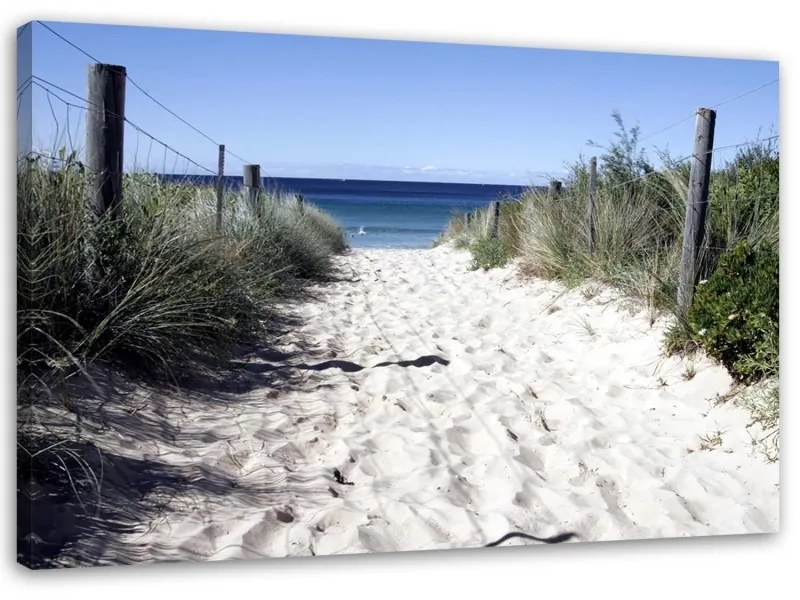 Quadro su tela, Dune sentiero spiaggia mare  Dimensioni 90x60