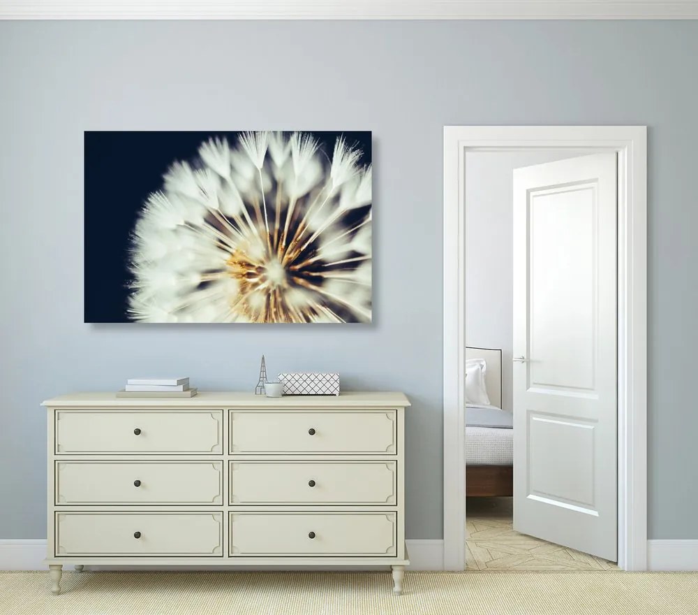 Quadro su tela – Dente di leone su sfondo scuro
