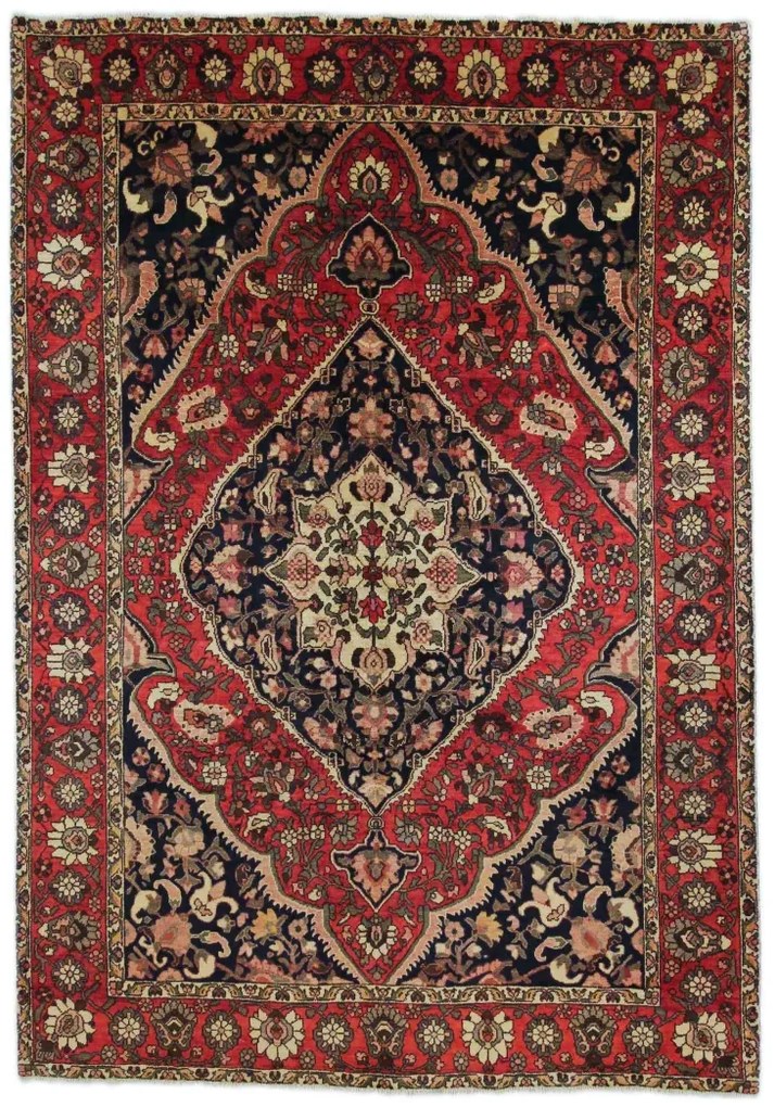 Bakhtiar Tappeto persiano 210 x 300 (Iran)