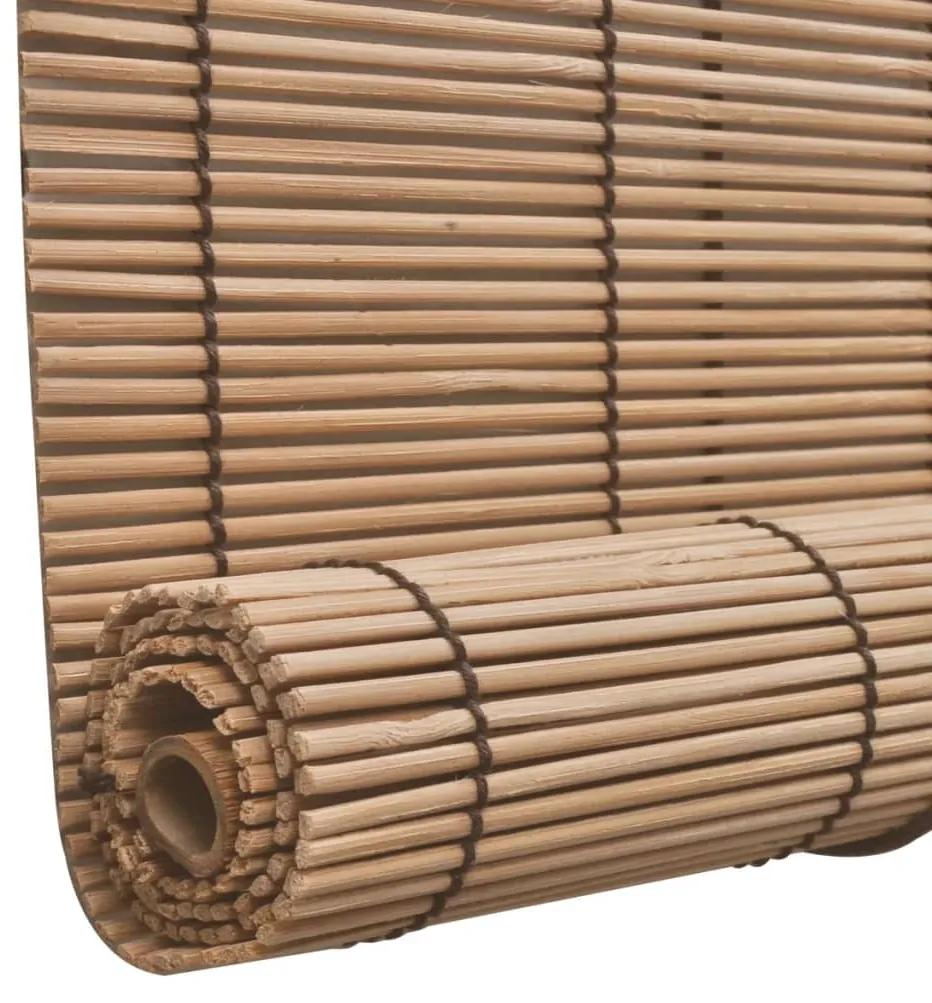 Tende a Rullo in Bambù Marrone 100x160 cm