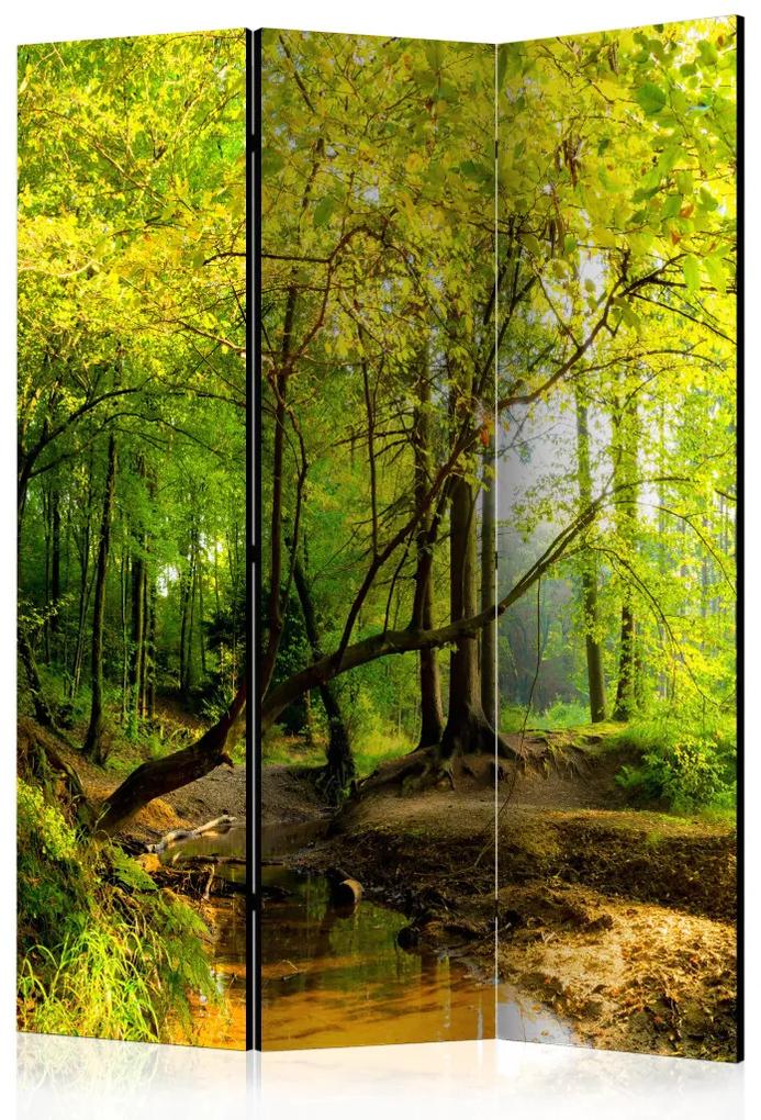 Paravento Radura nel bosco - paesaggio autunnale con foglie gialle e acqua