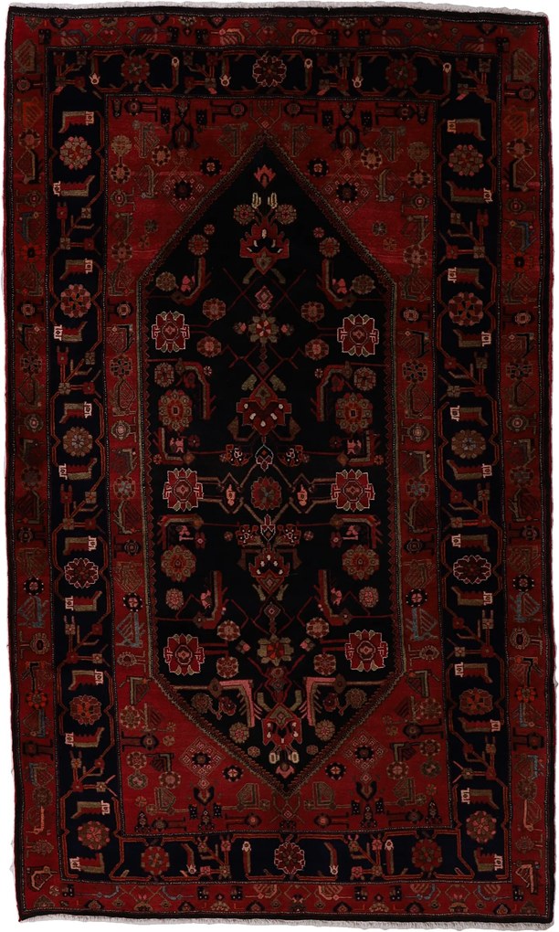Koliai Tappeto persiano 290x170 (Iran) Annodato A Mano