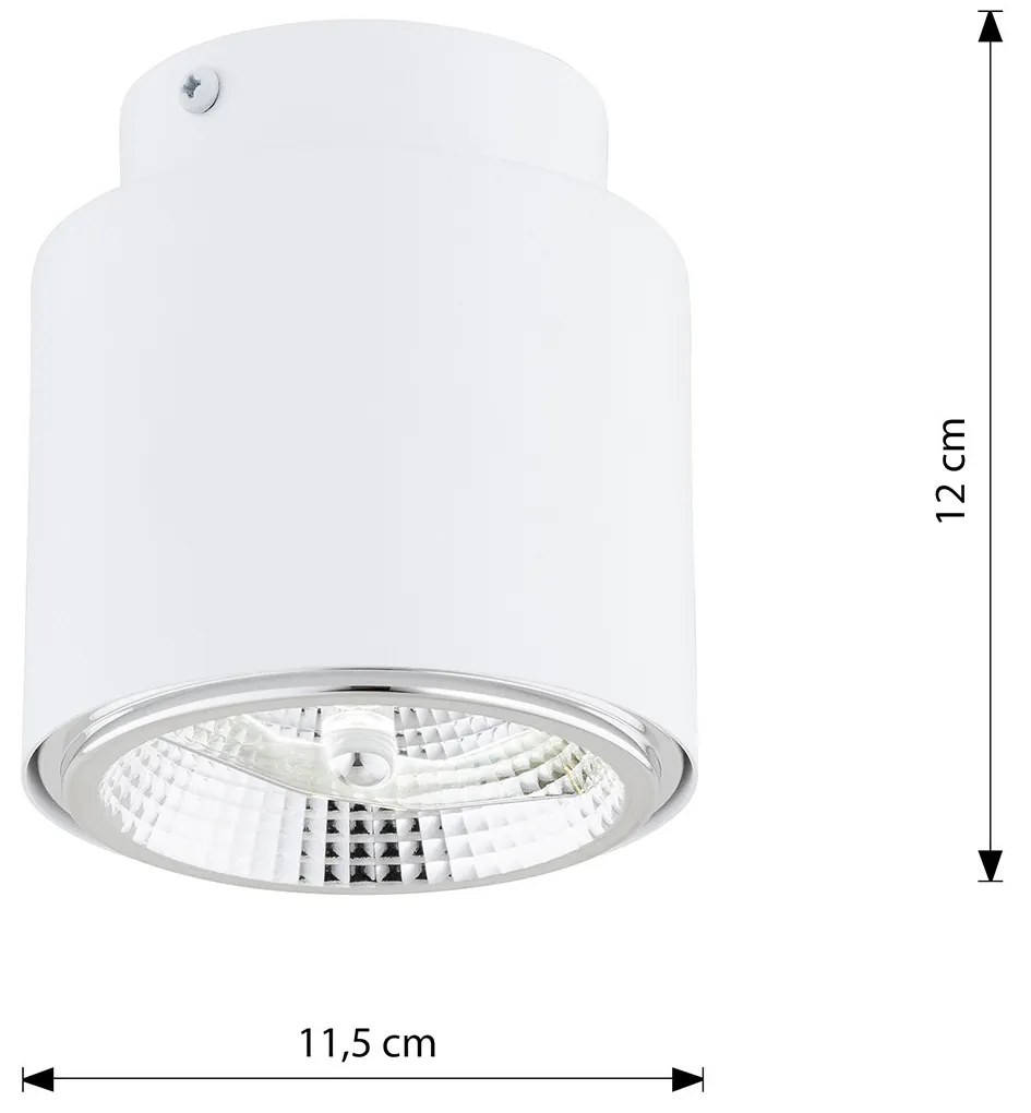 Plafoniera Moderna 1 Luce Faretto Ptah In Acciaio Bianco