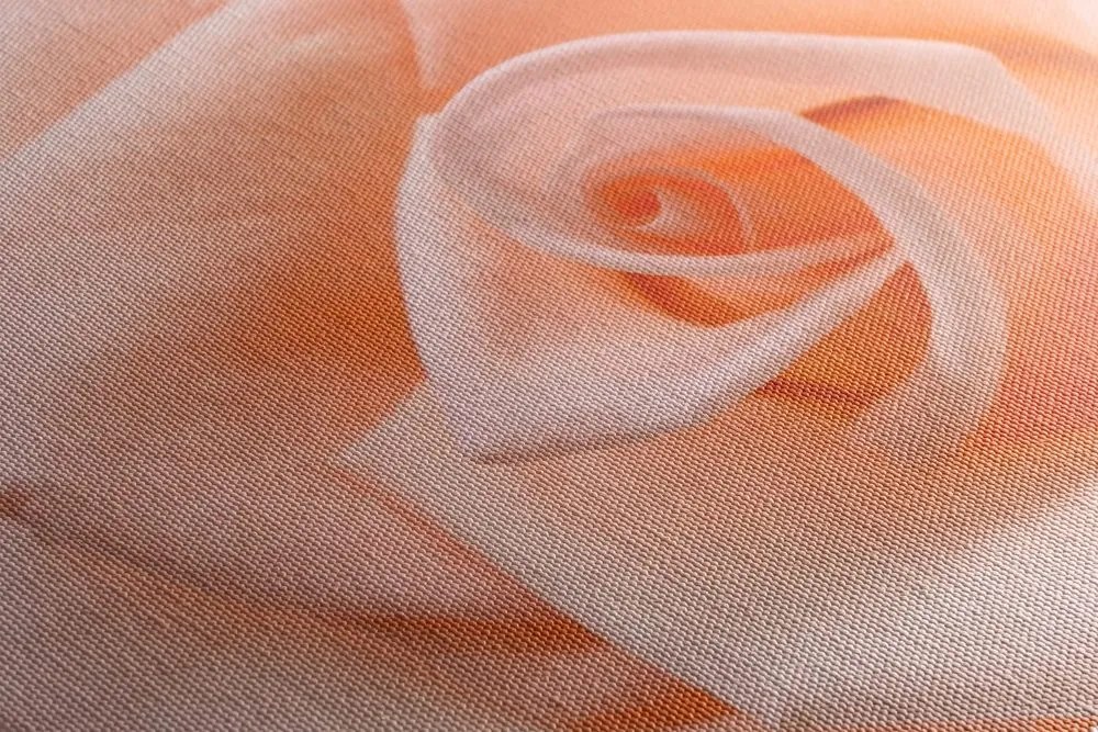 Quadro su tela – Rose in tonalità pesca