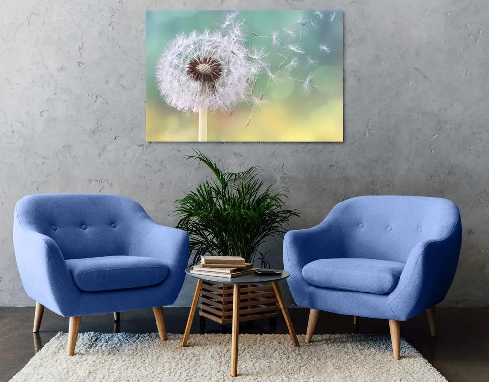 Stampa su tela – Soffione magico