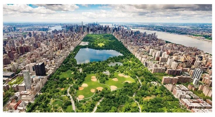 Stampa su tela Central Park New York, multicolore 145 x 75 cm