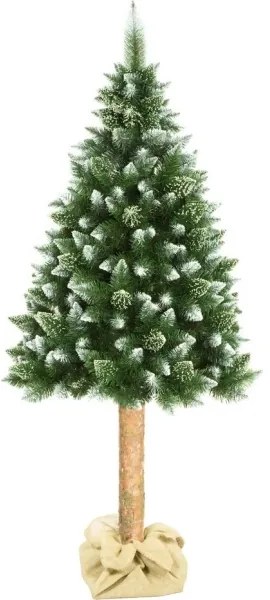 Albero di Natale su tronco 180 cm pino