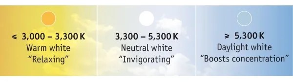 Paulmann 70624 - Striscia LED dimmerabile MAXLED 20W 3m 230V con telecomando