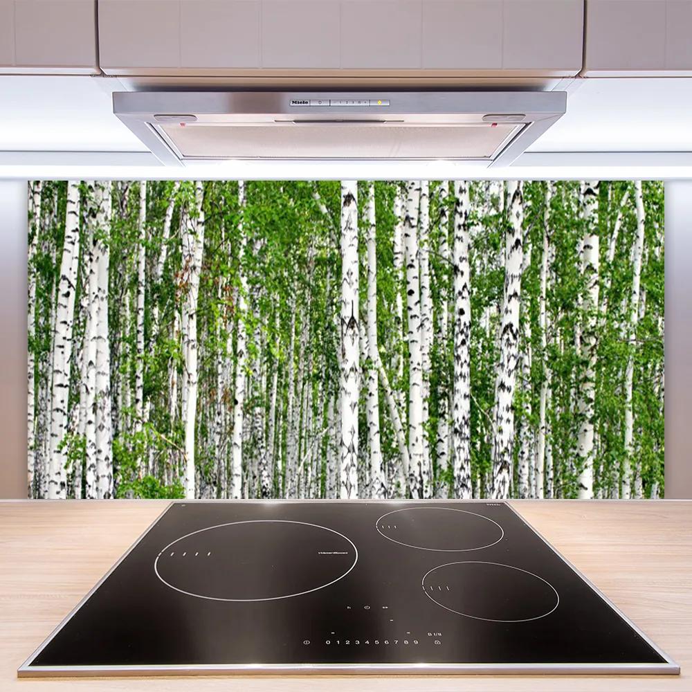 Pannello paraschizzi cucina Natura degli alberi della foresta di betulle 100x50 cm