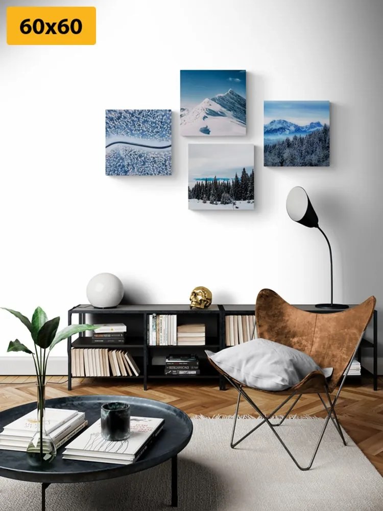 Set di quadri – Bellezze della natura innevata