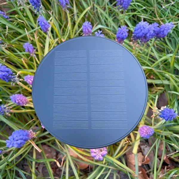 Zuma Line DT33611 - Lampada solare LED CARLI LED/2W/2000 mAh IP44 nero