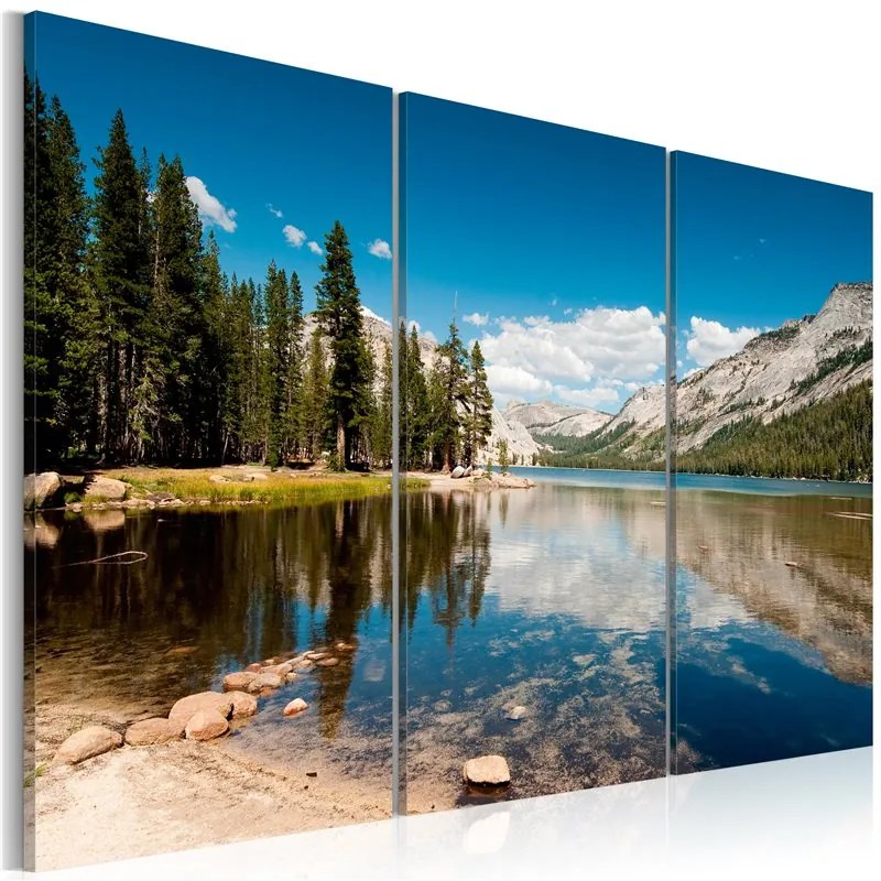 Quadro Montagne, alberi e lago puro come il cristallo  Colore Verde, Dimensioni e Misure 120x80