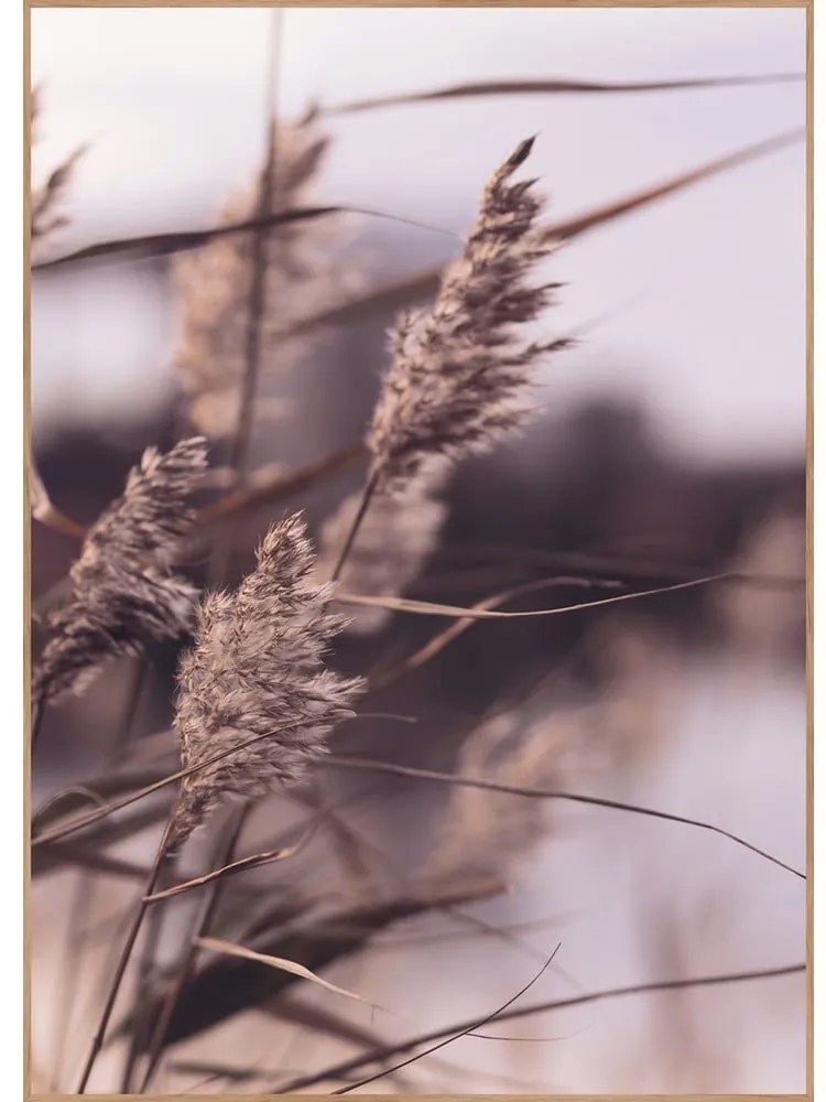 Dipinto 50x70 cm Mellow Grasses 3 – Malerifabrikken