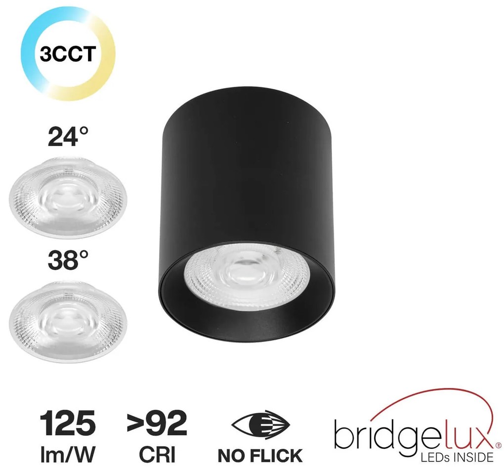 Applique da soffitto 20W Nera CCT Bianco Variabile Angolo 24°/38° Bridgelux LED