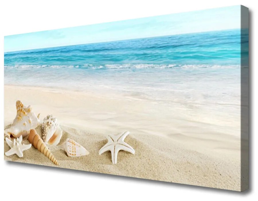 Stampa quadro su tela Stelle marine di conchiglie 140x70 cm