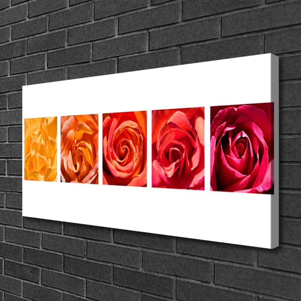 Quadro su tela Rose, fiori, piante 100x50 cm