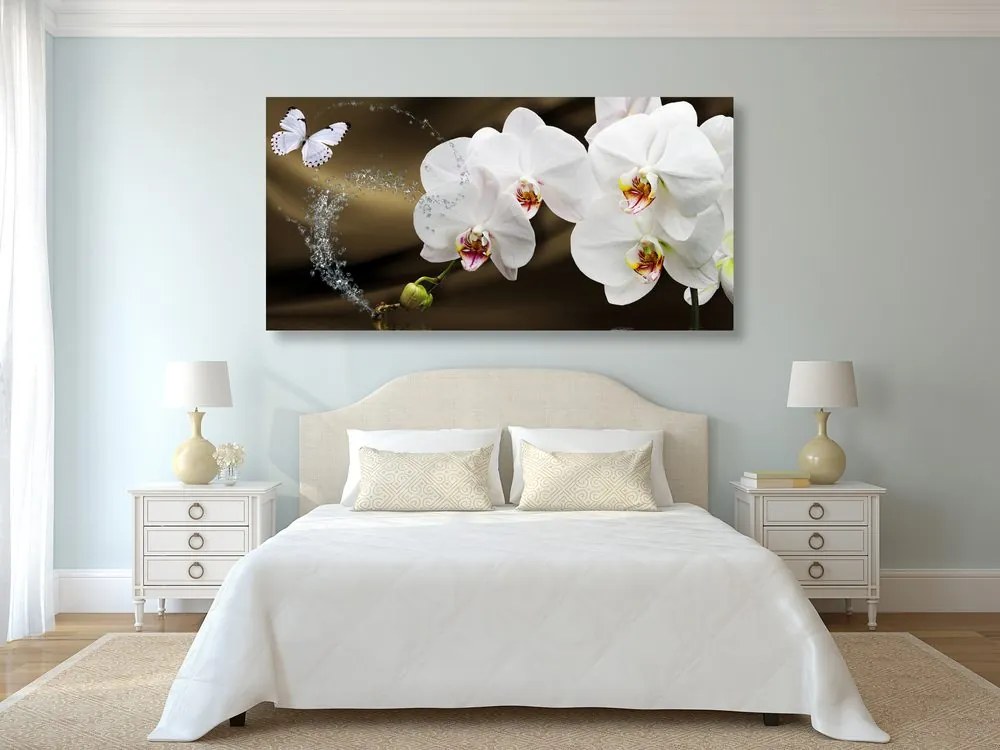 Quadro su tela – Orchidea e farfalla