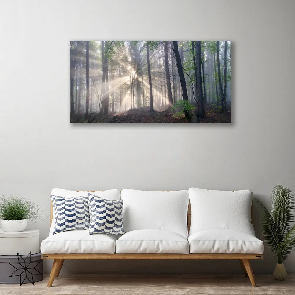 Quadro su tela Alberi della natura della foresta 100x50 cm