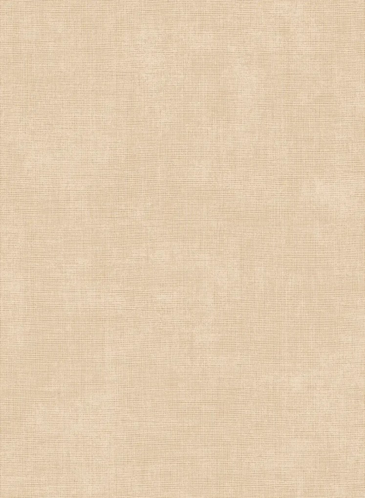 Arte International Carta da parati Tulle - Nude