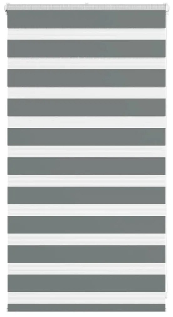 Tenda A Rullo Zebra Larghezza Tessuto 65,9 Cm Poliestere /