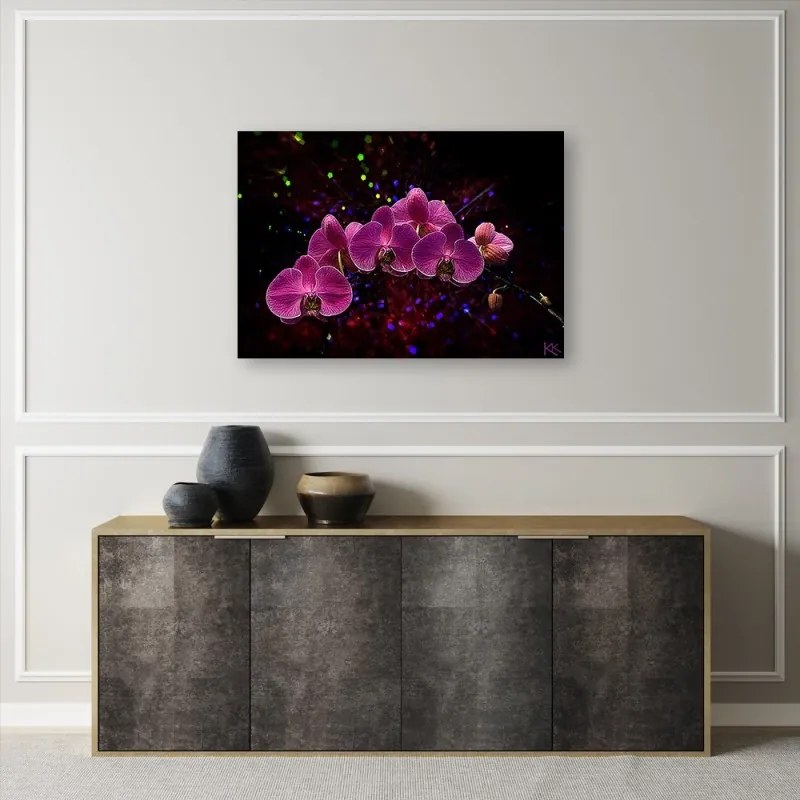 Quadro su tela, Orchidea su uno sfondo scuro  Dimensioni 100x70