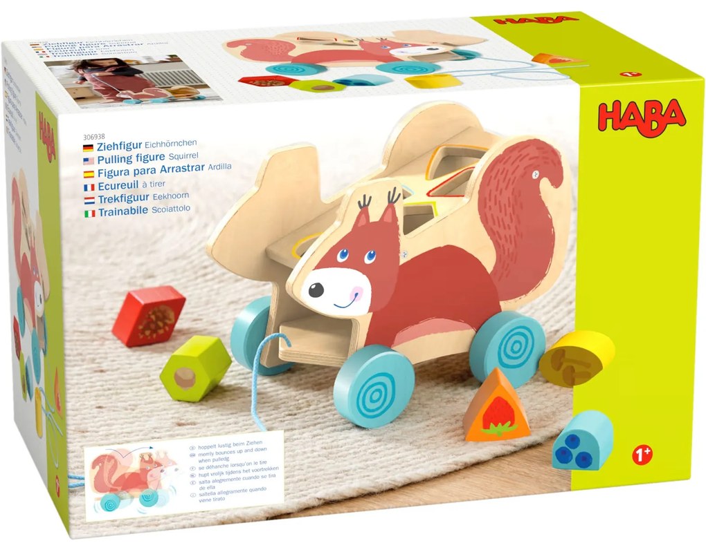 Trainabile - Scoiattolo