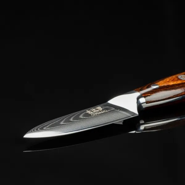 Gudaro - Coltello da cucina in acciaio damascato FENG 3,5", 67 strati d'acciaio, lunghezza 9,5 cm