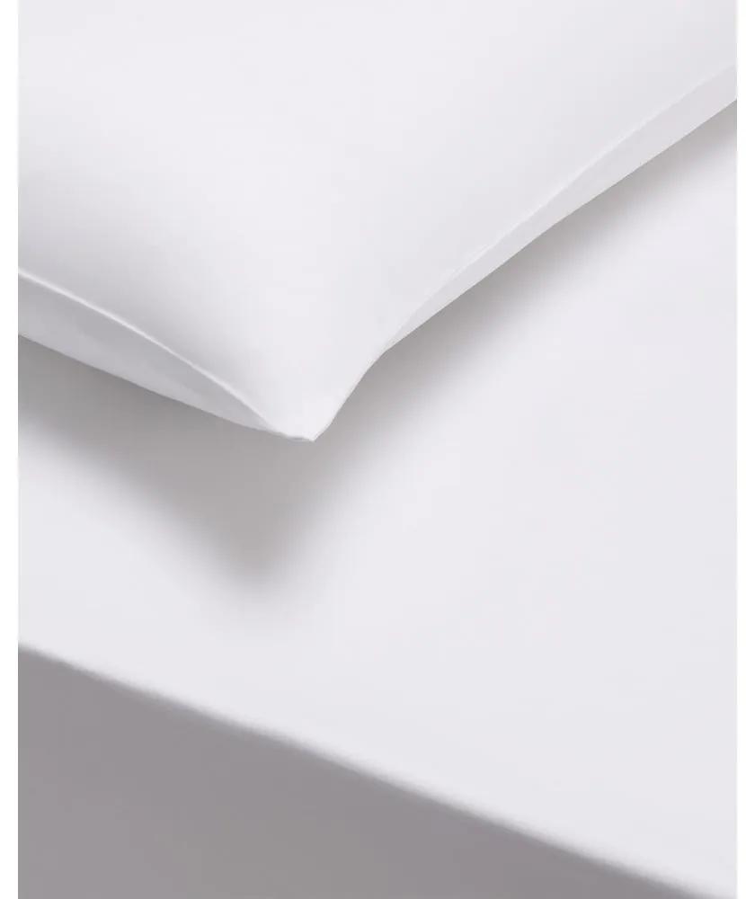 Set di 2 federe in cotone sateen bianco Standard, 50 x 75 cm Cotton Sateen - Bianca