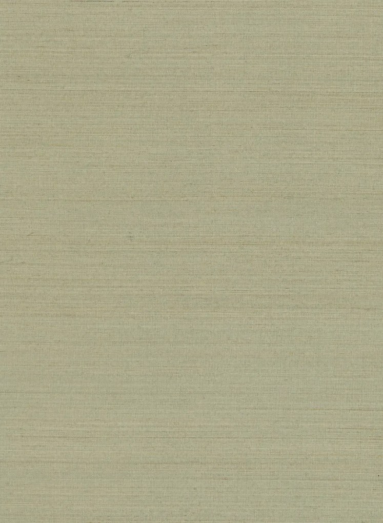 Nobilis Carta da parati Abaca - ABA25