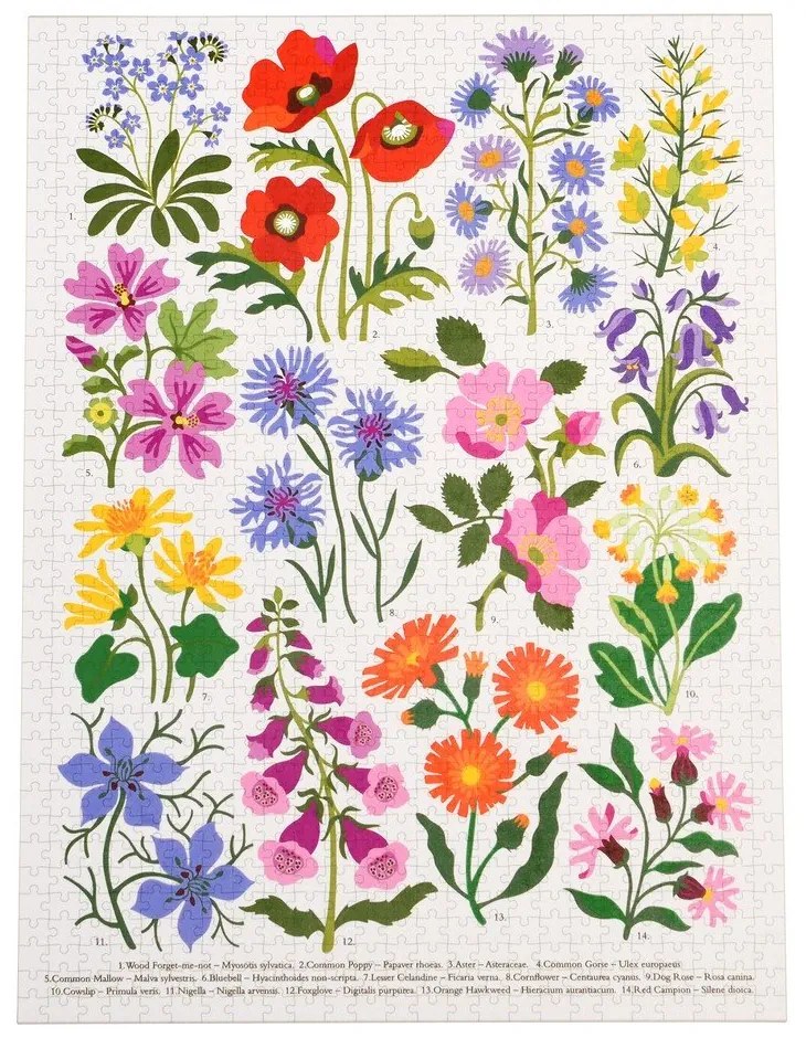 Puzzle 1000 pezzi Wild Flowers - Rex London