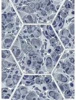 Rebel Walls Tapete Marbled Hexagon Tiles - Dark Blue