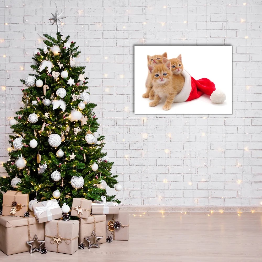 Quadro acrilico Gatti Babbo Natale 125x50 cm