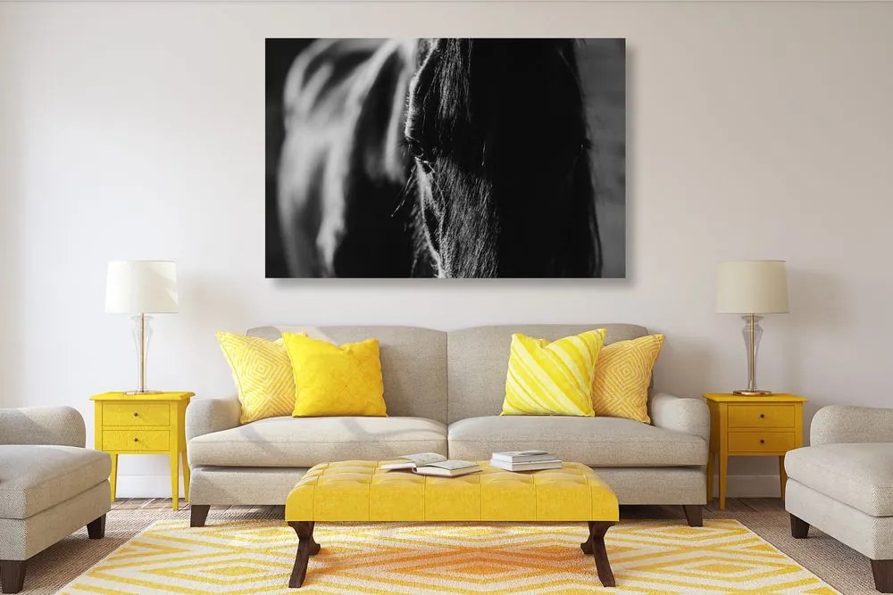 Quadro su tela – Cavallo maestoso in bianco e nero