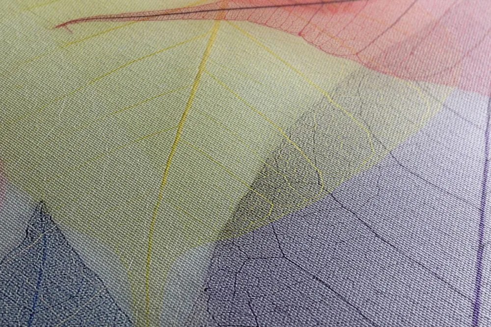 Stampa su tela – Venature su foglie colorate