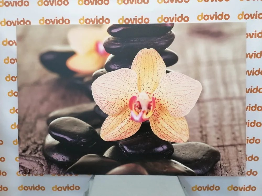 Quadro su tela – Orchidea gialla e pietre Zen