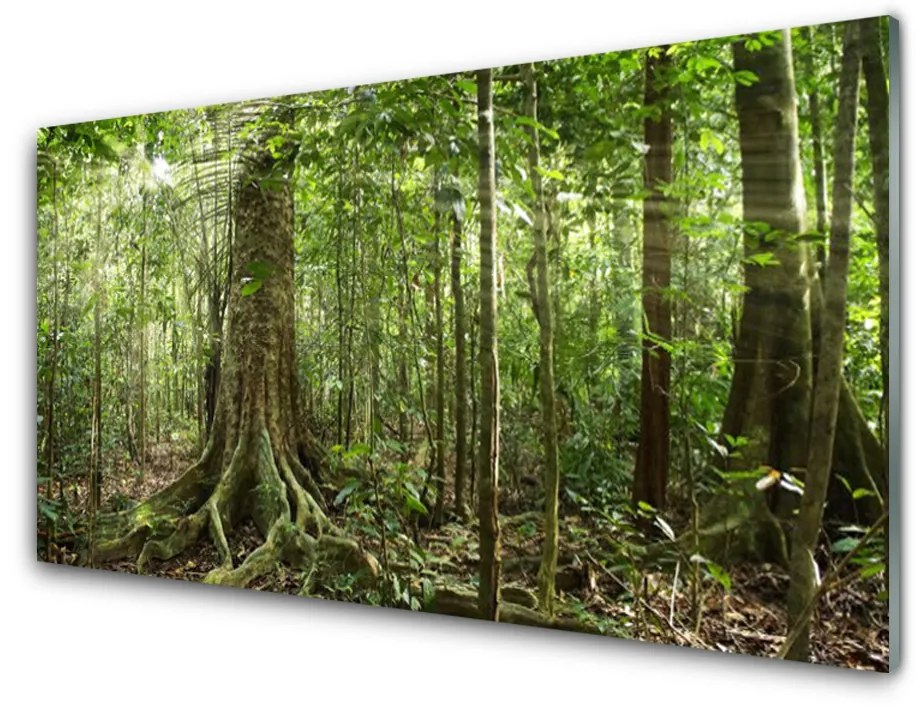 Quadro acrilico Natura della foresta Alberi della giungla 100x50 cm 2 appendini