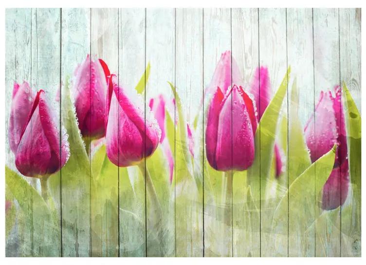 Fotomurale Tulipani su un legno bianco
