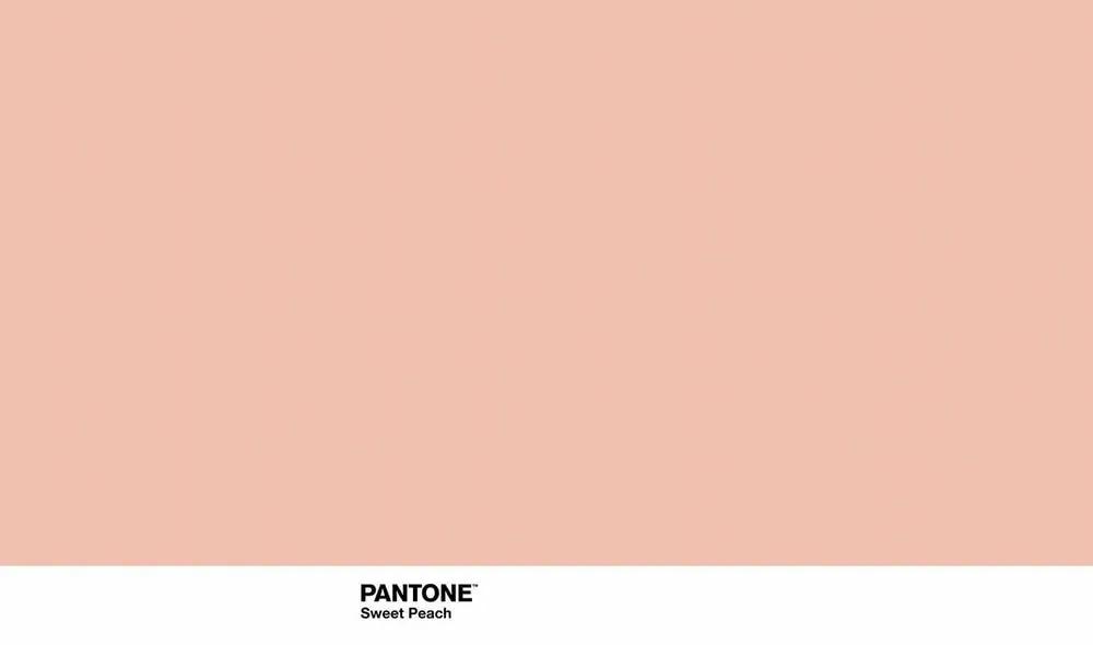 Trapunta Sweet Peach Pantone - Letto da 135 (240 x 260 cm)