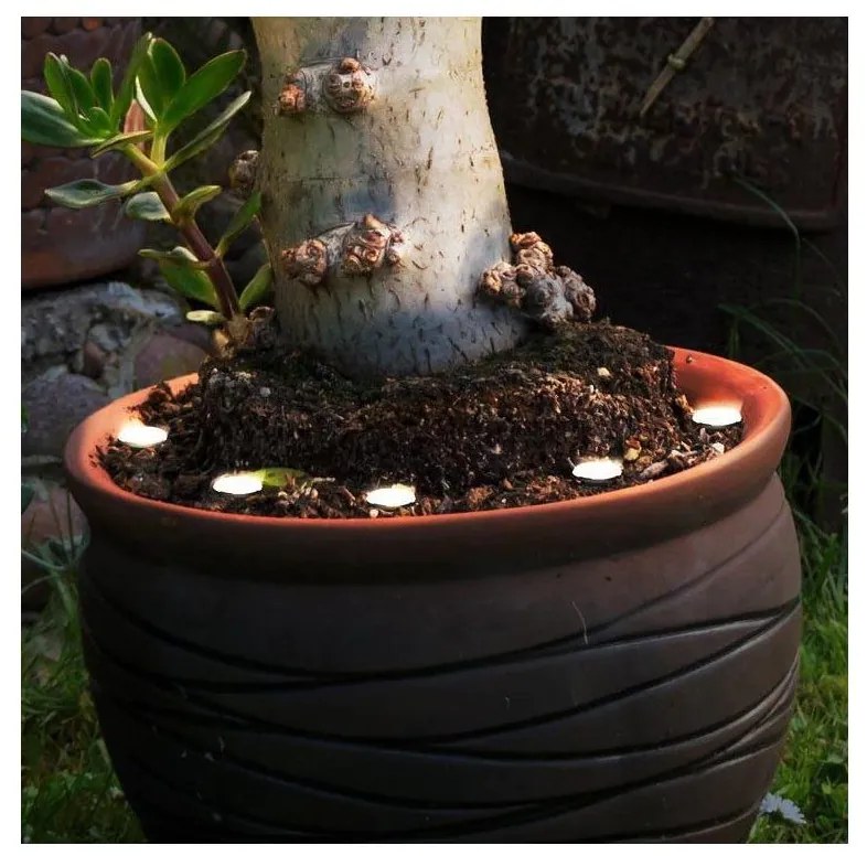 Eglo 900117 - Catena decorativa da esterno LED SPINETOLI 6xLED IP65