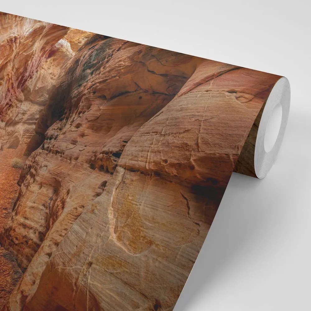 Carta da parati – Sentiero nel Grand Canyon