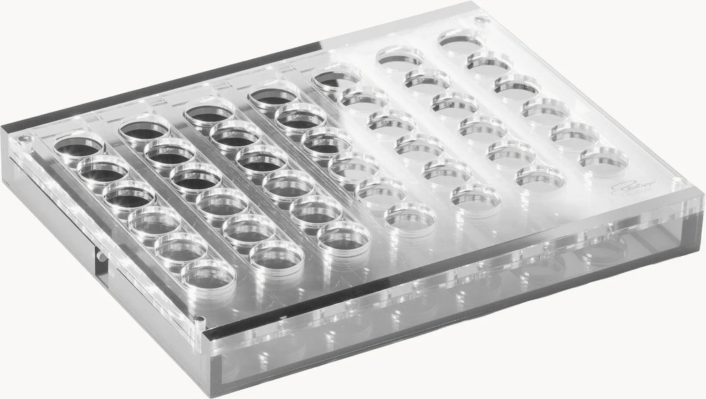 Gioco di strategia: 4 in a Row Yap