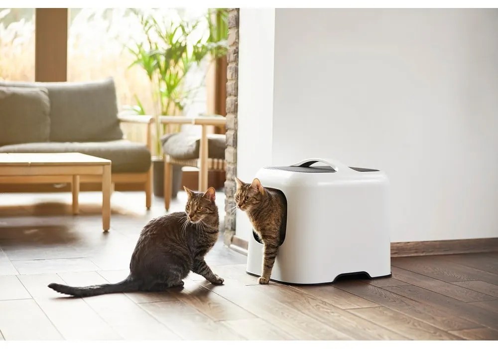 Lettiera bianca per gatti 40x51 cm Biala - Rotho