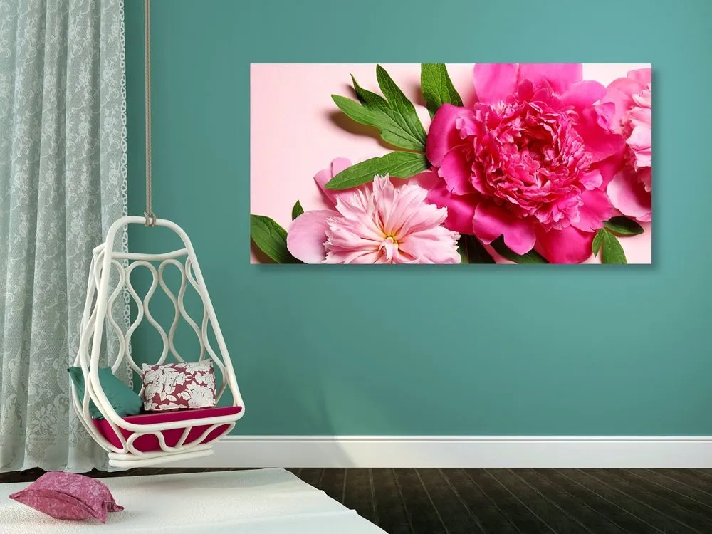 Quadro su tela – Peonie in rosa