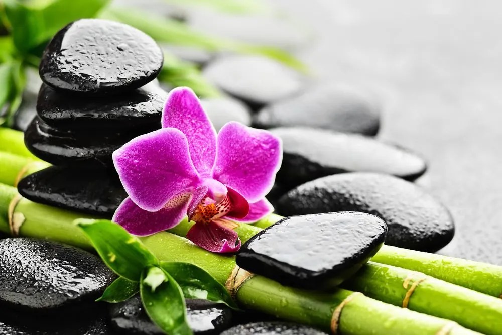 Stampa su tela – Natura morta Spa con orchidea viola