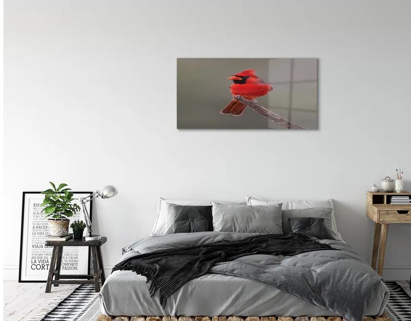 Quadro acrilico Pappagallo rosso su un ramo 100x50 cm