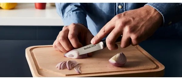 Tefal - Set di 4 coltelli da cucina con supporto ICE FORCE