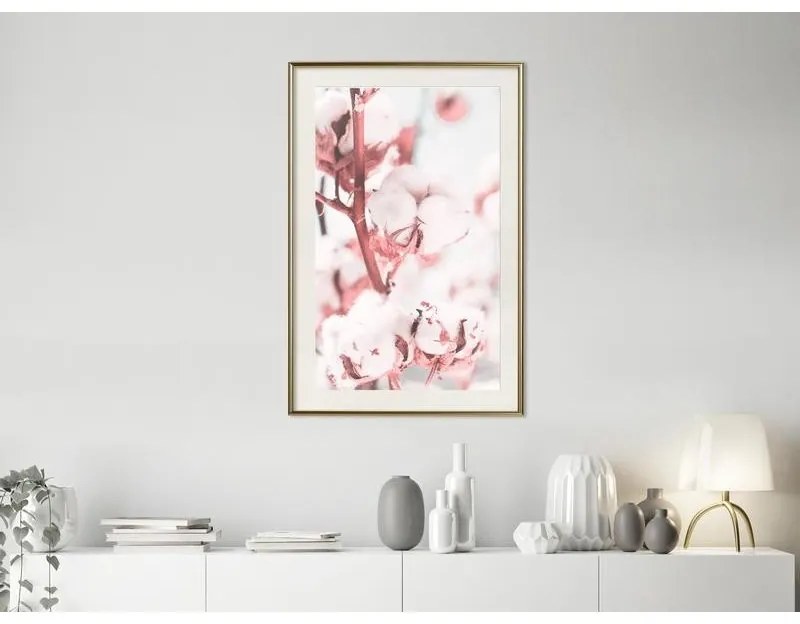 Poster Cotton Flowers