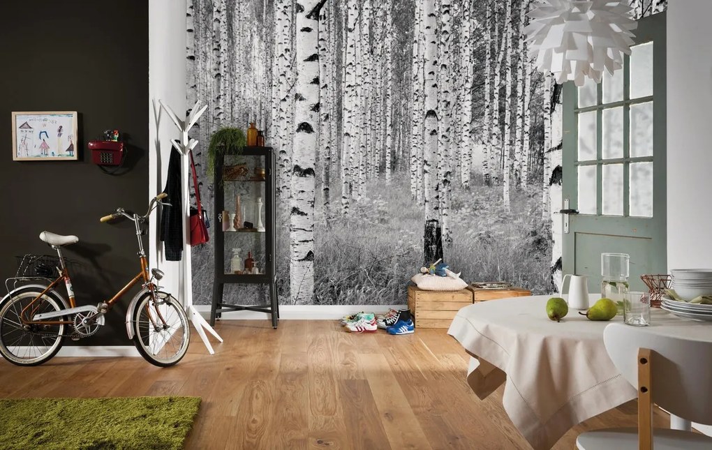 Fotomurale KOMAR Woods, multicolor 368X248 cm